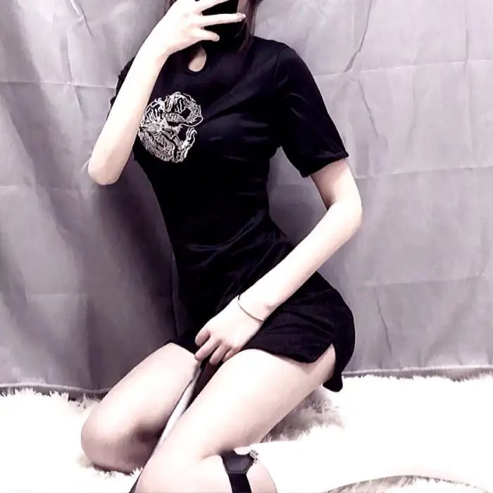 写珍集